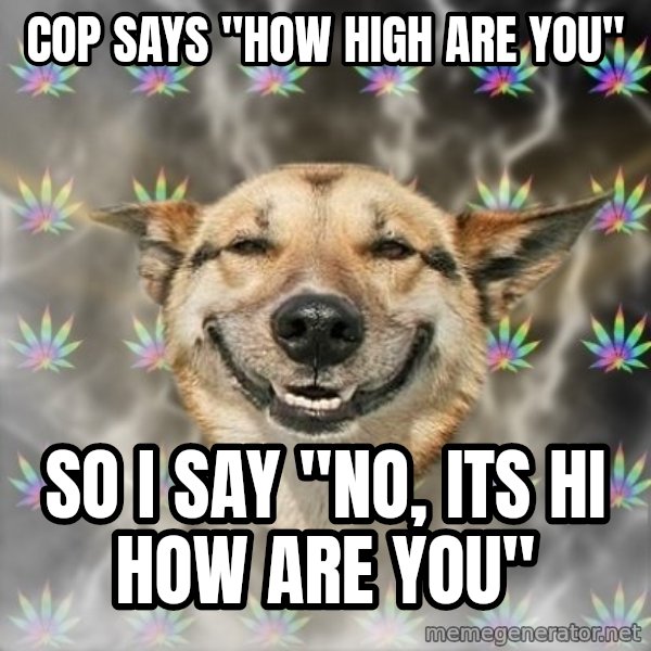Stoner Dog meme: Cop says "how high are you" / so i say "No, its hi how are you"
