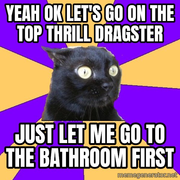 Anxiety Cat meme: yeah ok let's go on the top thrill dragster / just let me go to the bathroom first