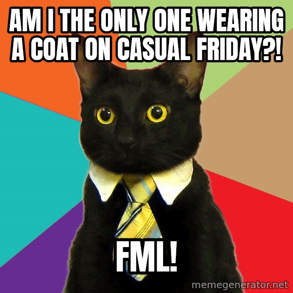 Business Cat meme: Am I the only one wearing a coat on casual Friday?! / FML!