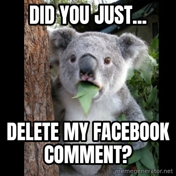 Koala can't believe it meme: Did you just... / delete my facebook comment?