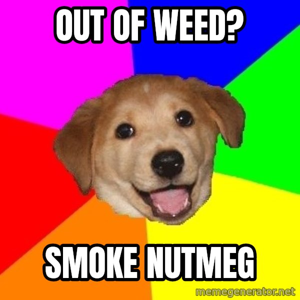 Advice Dog meme: out of weed? / smoke nutmeg