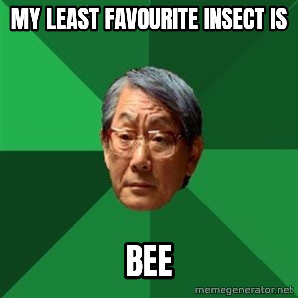 High Expectations Asian Father meme: My Least favourite Insect is / BEE
