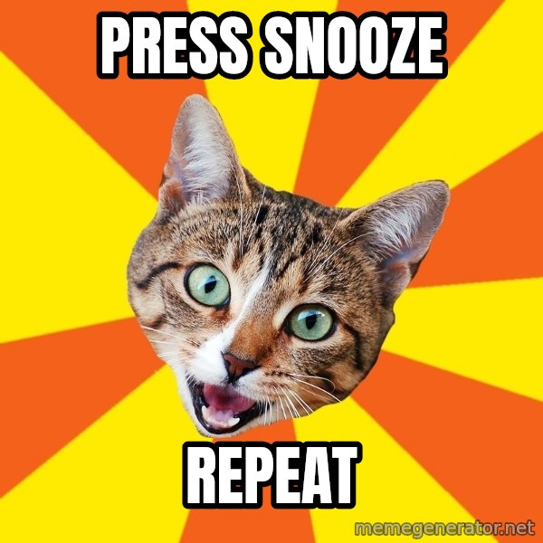 Bad Advice Cat meme: press snooze / repeat