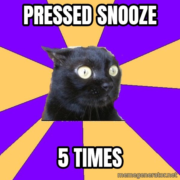 Anxiety Cat meme: pressed snooze / 5 times