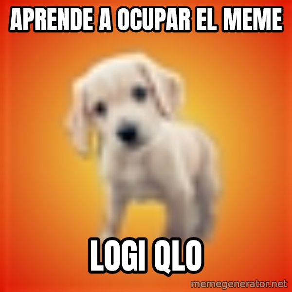 Perrito Chorizo meme: APRENDE A OCUPAR EL MEME / LOGI QLO