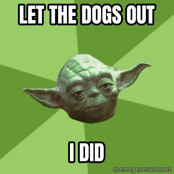 Advice Yoda Gives meme: Let the dogs out / I did