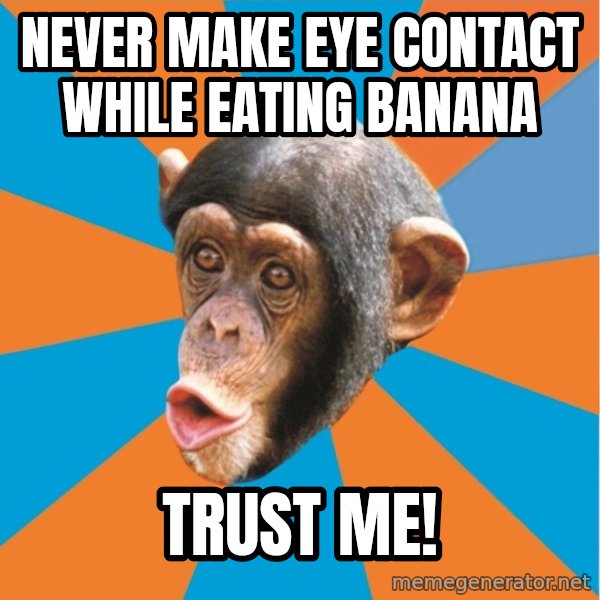 Stupid Monkey meme: never make eye contact while eating banana / trust me!