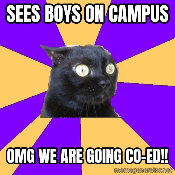 Anxiety Cat meme: Sees boys on campus / omg we are going co-ed!!