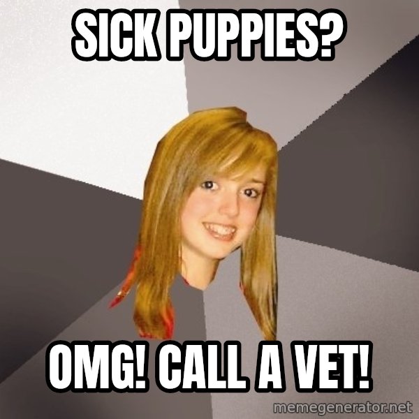 Musically Oblivious 8th Grader meme: Sick Puppies? / OMG! Call a vet!