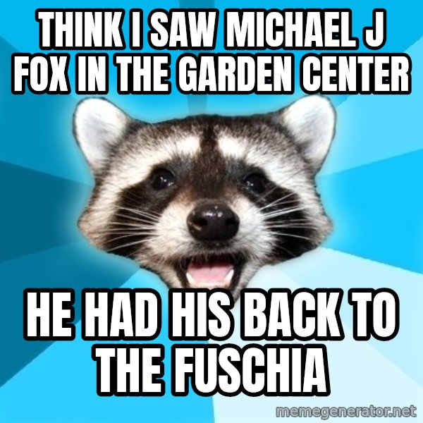 Lame Pun Coon meme: think i saw michael j fox in the garden center / he had his back to the fuschia