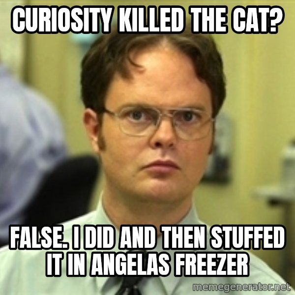 Dwight Schrute meme: Curiosity Killed the cat? / False. I did and then stuffed it in angelas freezer