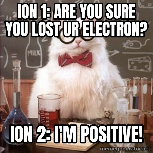 Chemistry Cat meme: Ion 1: are you sure you lost ur electron? / Ion 2: i'm positive!