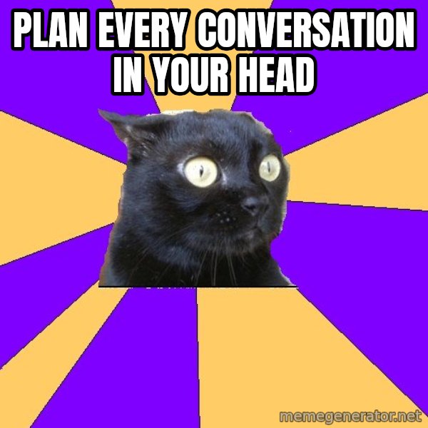 Anxiety Cat meme: plan every conversation in your head