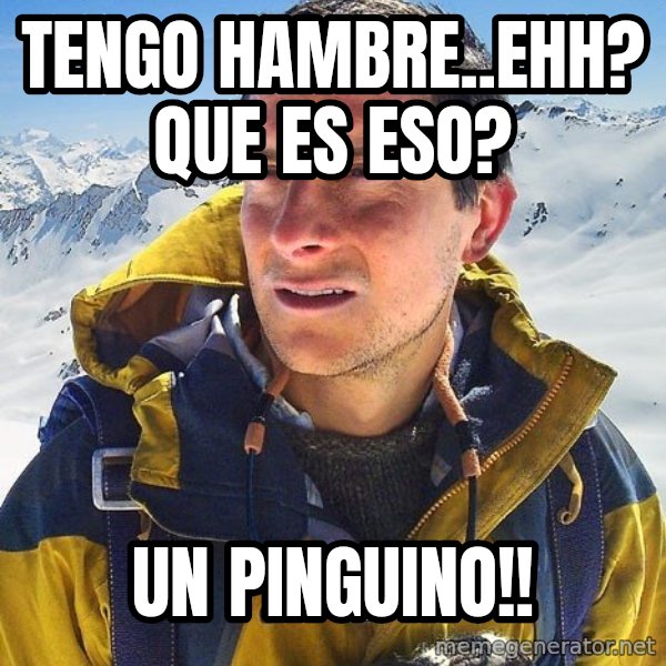 Bear Grylls Loneliness meme: tENGO HAMBRE..EHH? QUE ES ESO? / UN PINGUINO!!