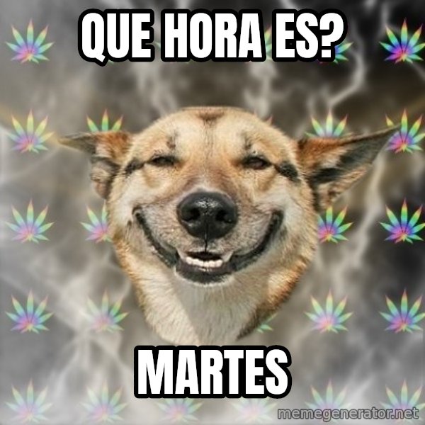 Stoner Dog meme: que hora es? / martes