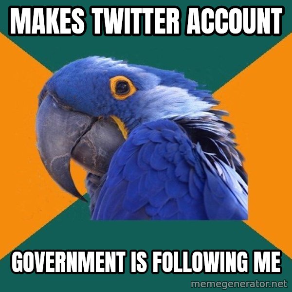 Paranoid Parrot meme: Makes Twitter Account / Government is Following me