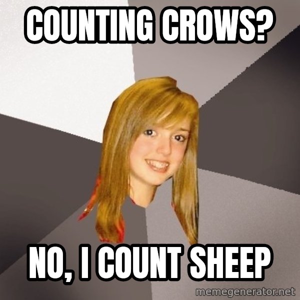 Musically Oblivious 8th Grader meme: Counting Crows? / No, I Count Sheep