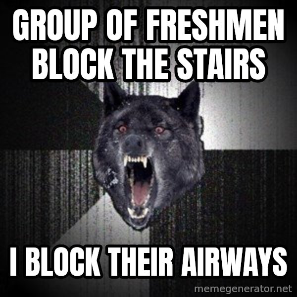 Insanity Wolf meme: Group of freshmen block the stairs / I block their airways