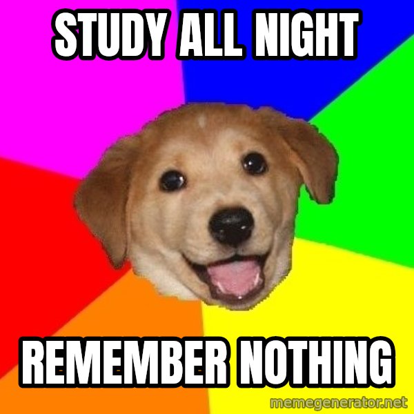 Advice Dog meme: study all night / remember nothing