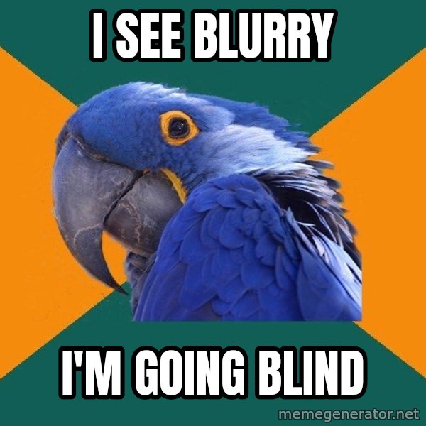 Paranoid Parrot meme: i see blurry / i'm going blind