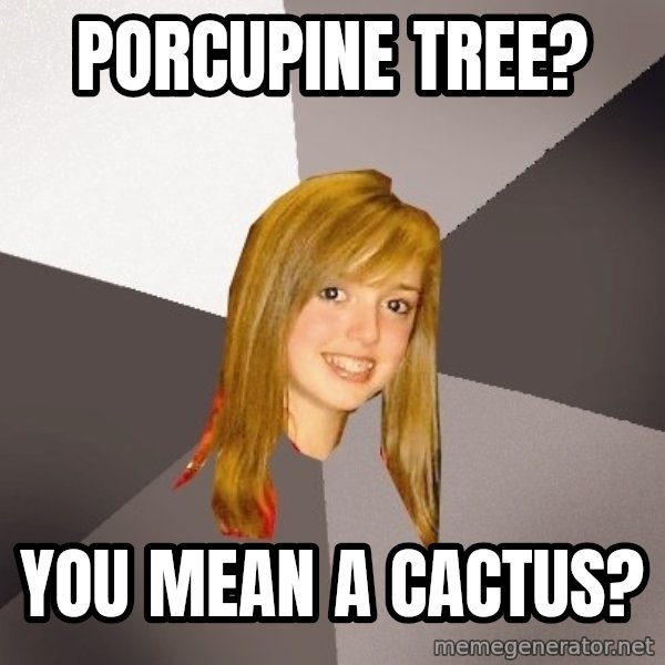 Musically Oblivious 8th Grader meme: porcupine tree? / you mean a cactus?
