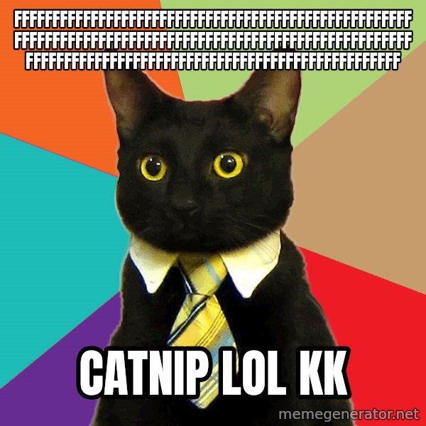 Business Cat meme: fffffffffffffffffffffffffffffffffffffffffffffffffffffffffffffffffffffffffffffffffffffffffffffffffffffffffffffffffffffffffffffffffffffffffffffffffffffffff / catnip lol kk