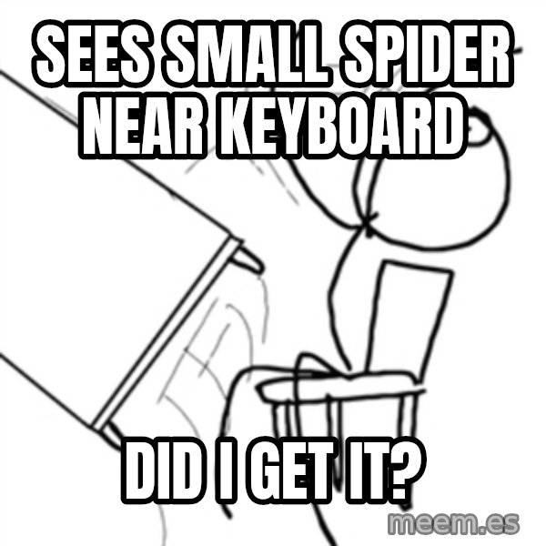 flip a table2 meme: sees small spider near keyboard / did i get it?