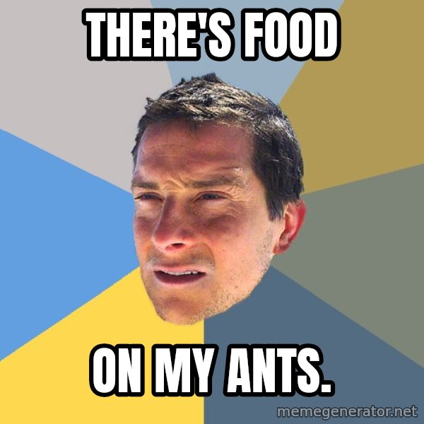Bear Grylls meme: There's food / On my ants.