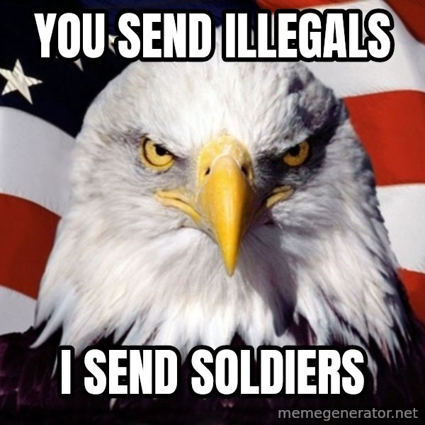 American Pride Eagle meme: You send illegals / I send soldiers