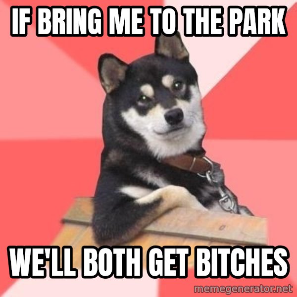Cool Dog meme: IF BRING ME TO THE PARK / WE'LL BOTH GET BITCHES
