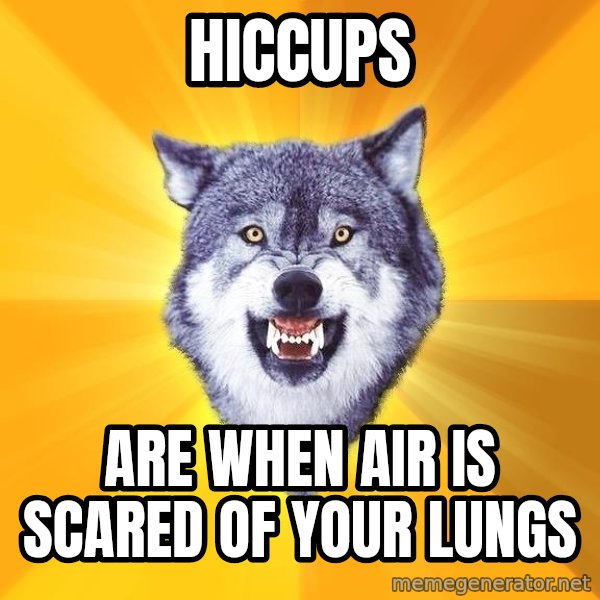 Courage Wolf meme: hiccups / are when air is scared of your lungs