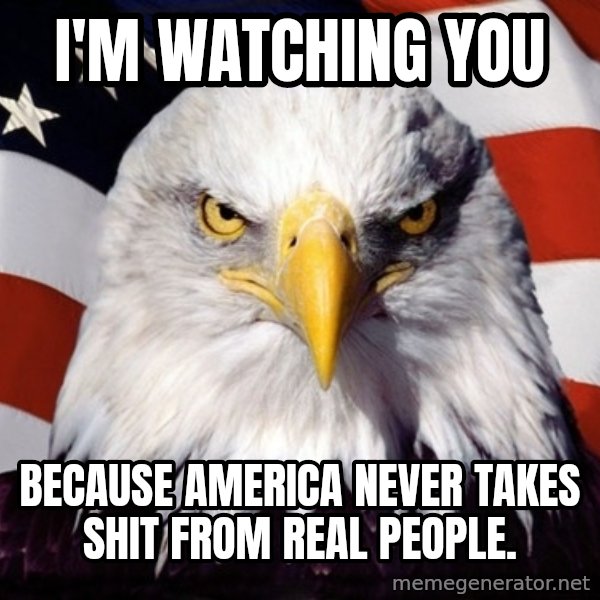 American Pride Eagle meme: I'm watching you / because america never takes shit from real people.