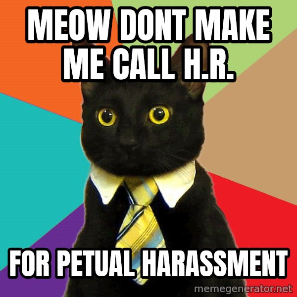 Business Cat meme: meow dont make me call h.r. / for petual harassment