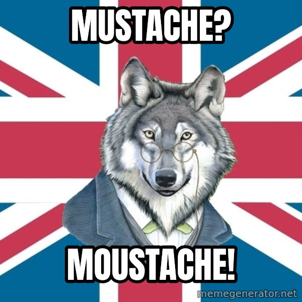 Sir Courage Wolf Esquire meme: Mustache? / Moustache!