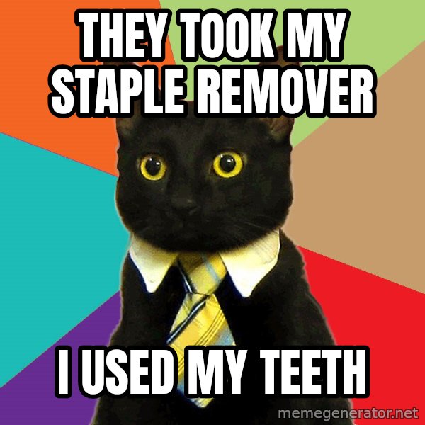 Business Cat meme: they Took my staple remover / i used my teeth