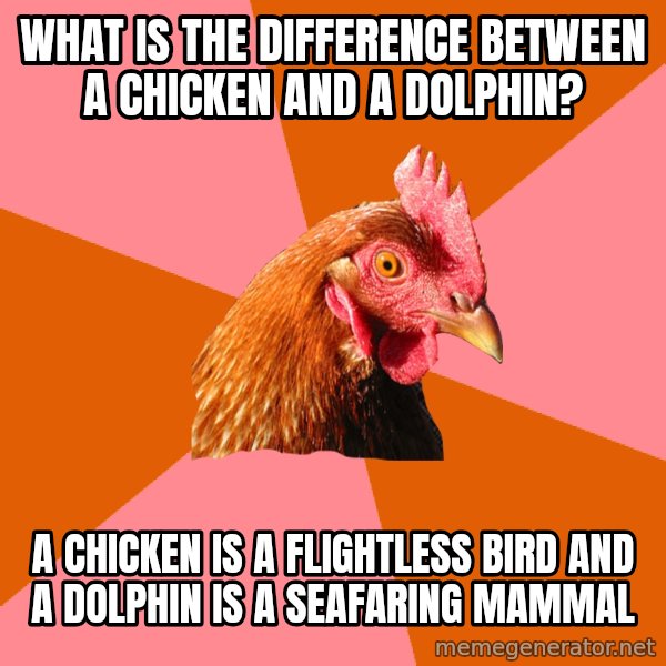 Anti Joke Chicken meme: what is the difference between a chicken and a dolphin? / a chicken is a flightless bird and a dolphin is a seafaring mammal