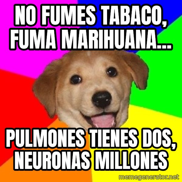Advice Dog meme: no fumes tabaco, fuma marihuana... / pulmones tienes dos, neuronas millones
