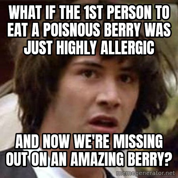 Conspiracy Keanu meme: What if the 1st person to eat a poisnous berry was just highly allergic / and now we're missing out on an amazing berry?