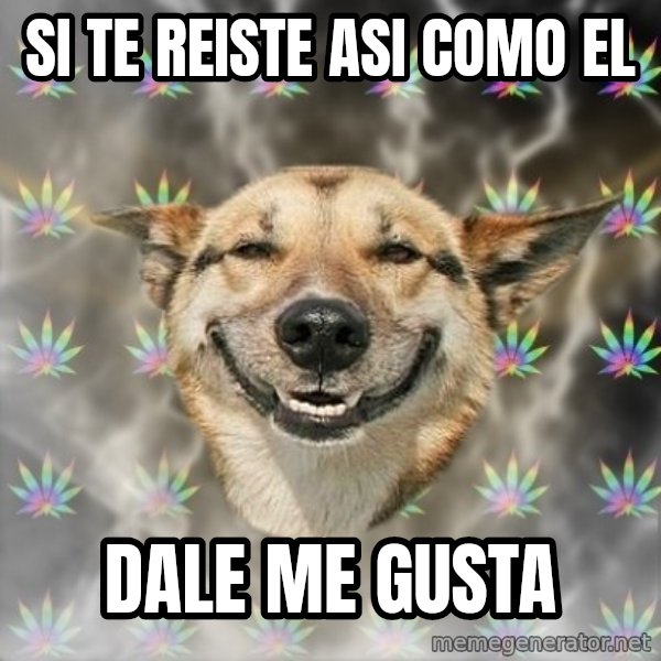 Stoner Dog meme: si te reiste asi como el / dale me gusta