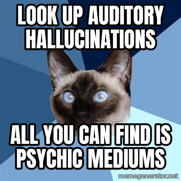 Chronic Illness Cat meme: Look up auditory hallucinations / all you can find is psychic mediums