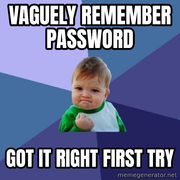 Success Kid meme: vaguely remember password / got it right first try