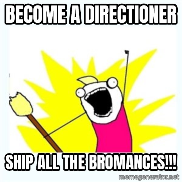 All the things meme: become a directioner / ship all the bromances!!!