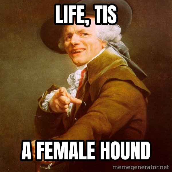 Joseph Ducreux meme: life, tis / a female hound