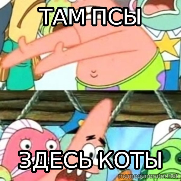 Push it Somewhere Else Patrick meme: там псы / здесь коты