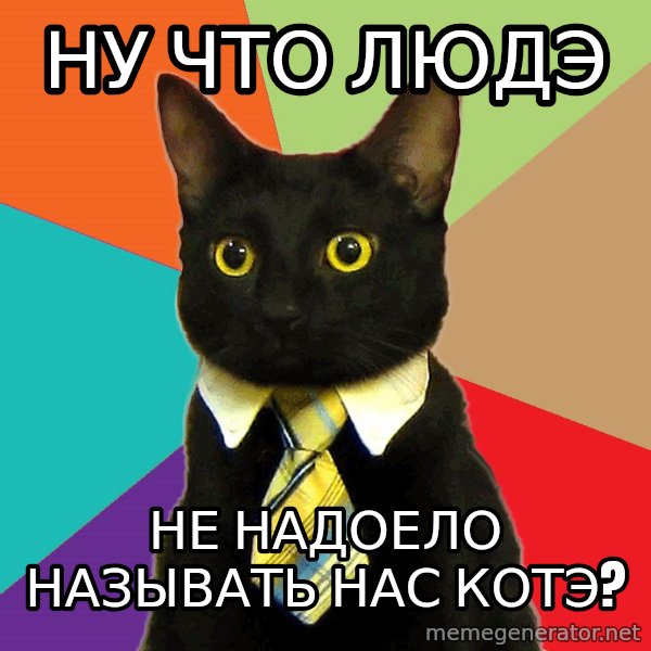 Business Cat meme: ну что людэ / не надоело называть нас котэ?