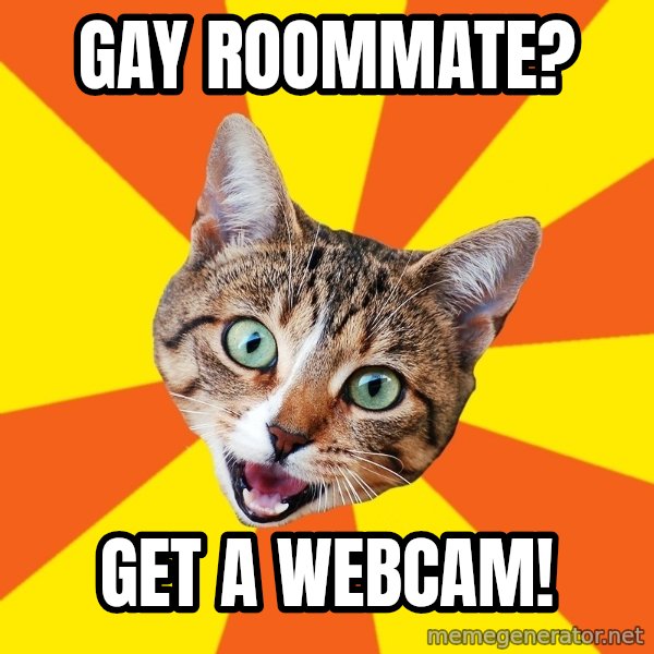 Bad Advice Cat meme: gay roommate? / get a webcam!