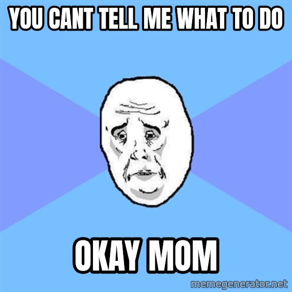 Okay Guy meme: you cant tell me what to do / okay mom