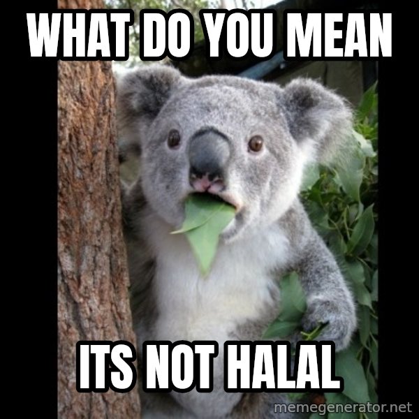 Koala can't believe it meme: What do you mean / its not hALAL