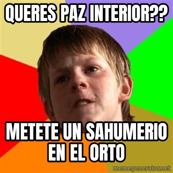 Angry School Boy meme: Queres paz interior?? / metete un sahumerio en el orto