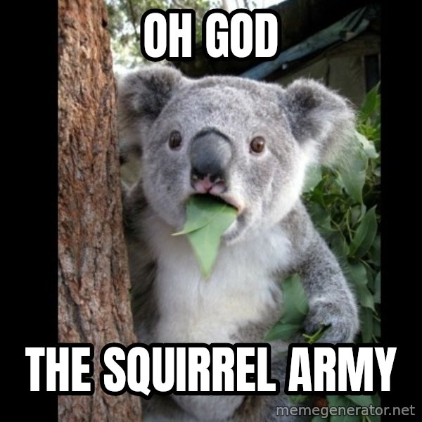 Koala can't believe it meme: oh god / the squirrel army